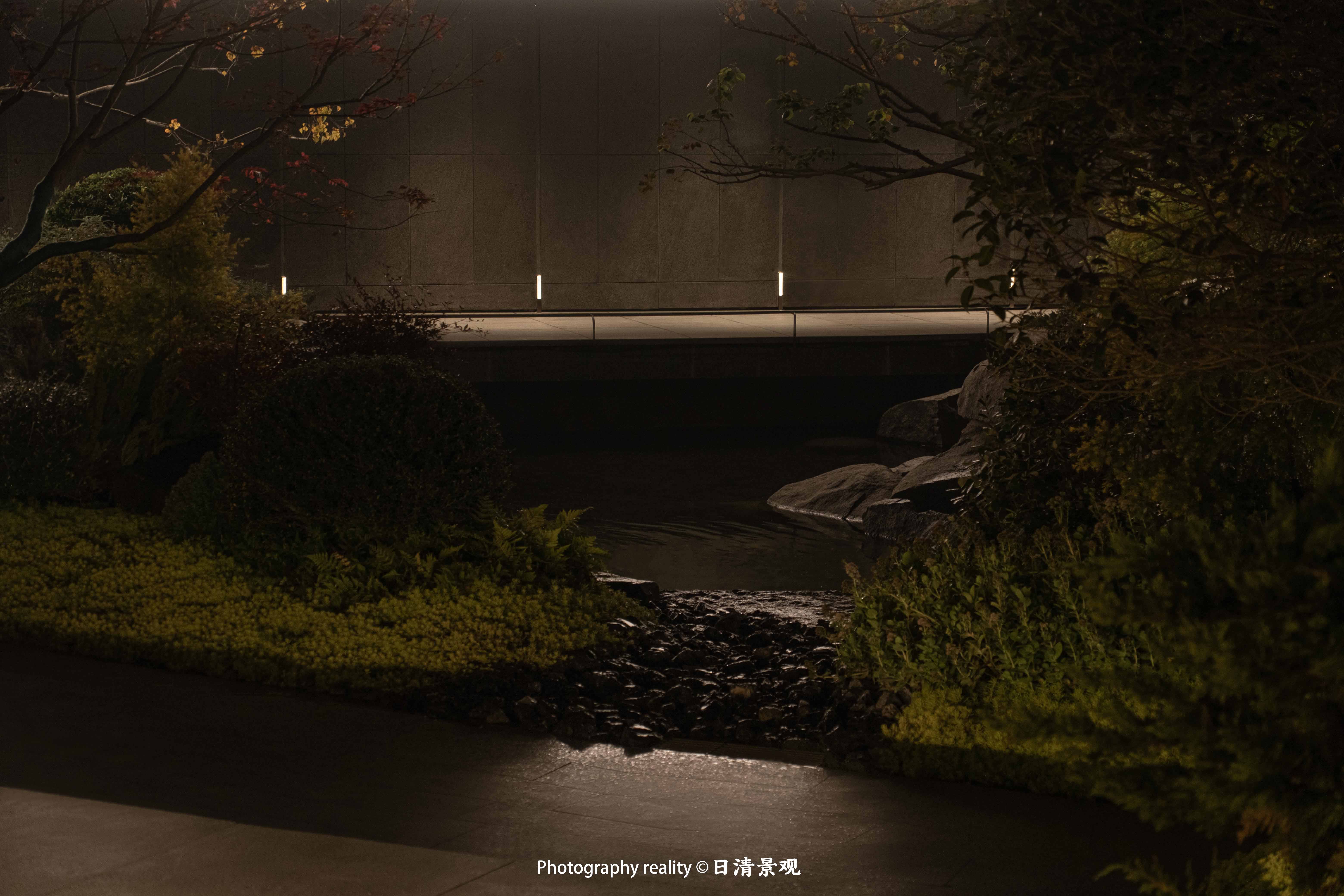 DSCF9794.jpg