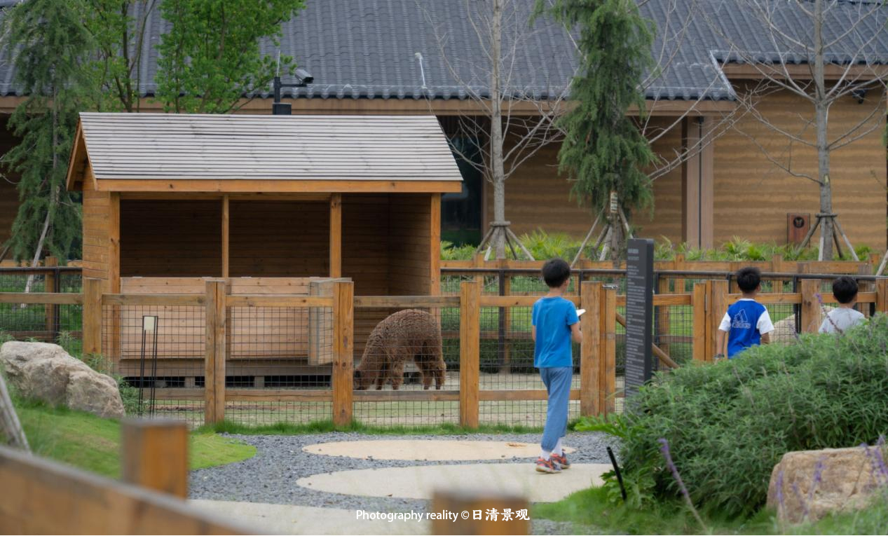 图片9.jpg
