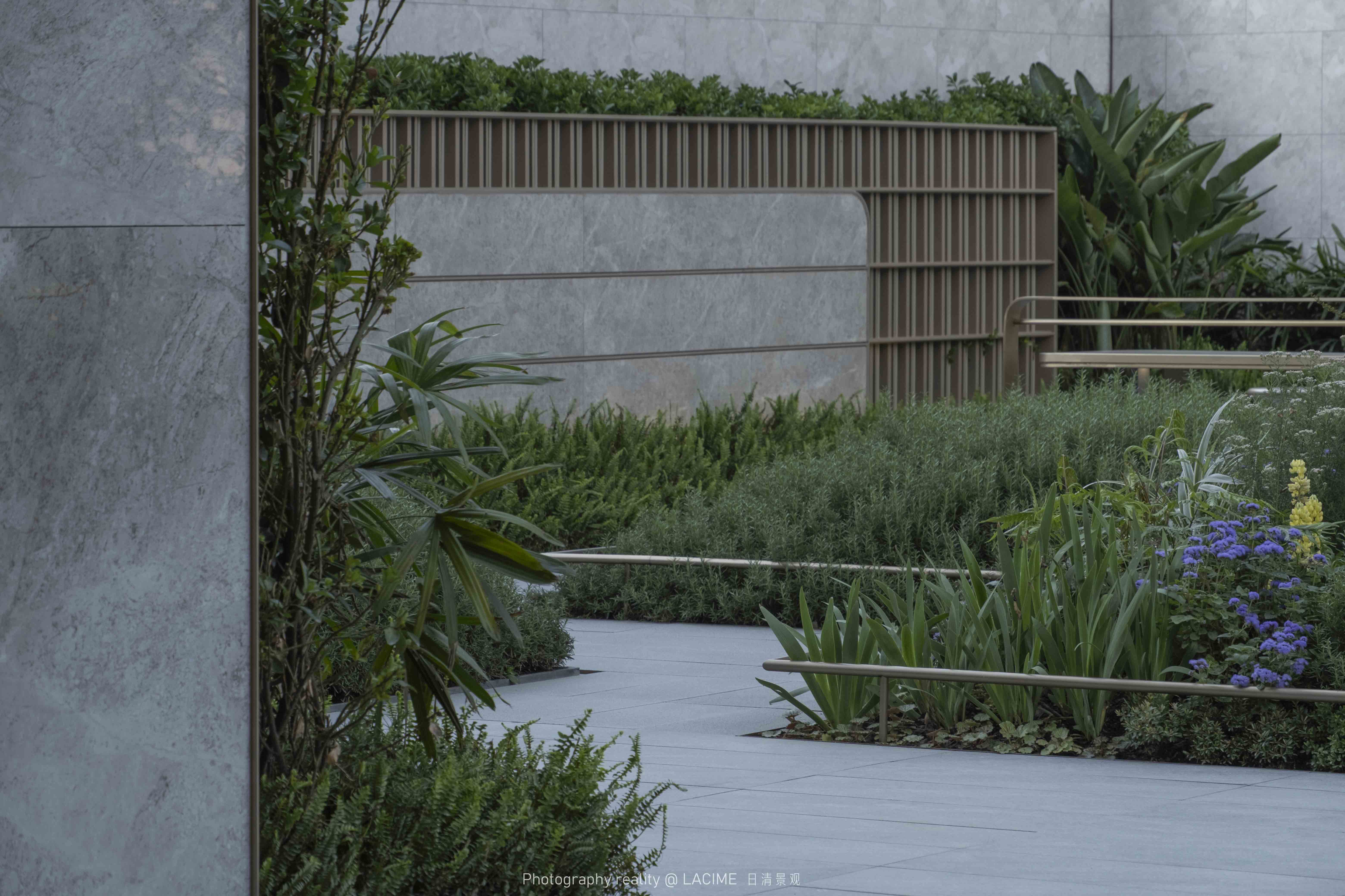 花园DSCF5506.jpg