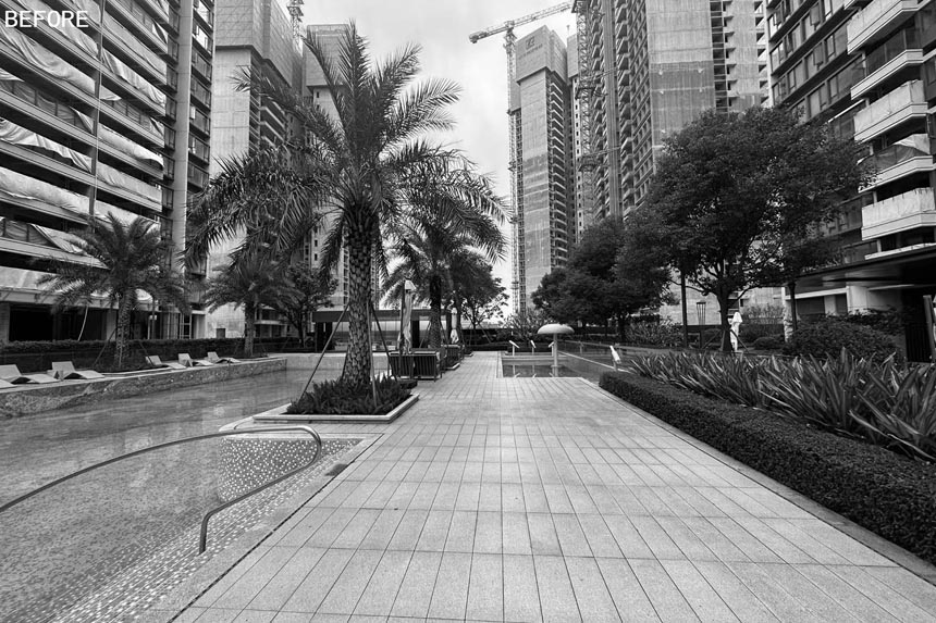 DSCF0854.jpg
